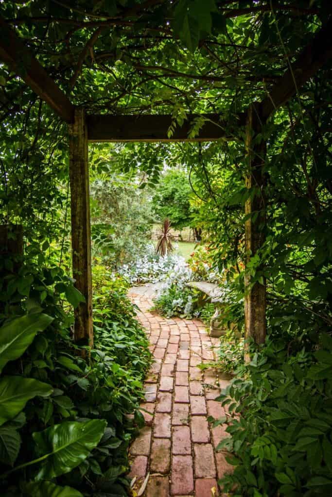 Rustic Garden Decor That Actually Holds Up Outside 6 green leafed plant