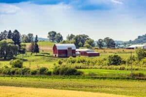 Fall Homestead Checklist: Harvest, Repairs, Winter Prep, and Pantry Work 2 Fall Homestead Checklist: Harvest, Repairs, Winter Prep, and Pantry Work