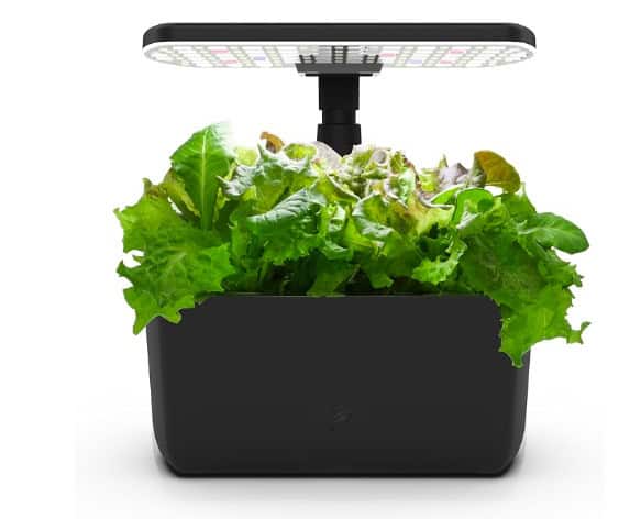 Aero garden harvest lite aerogarden vs. Click and grow