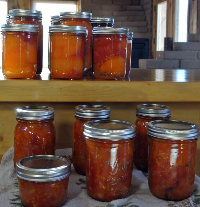 How to can tomatoes: a beginner’s guide