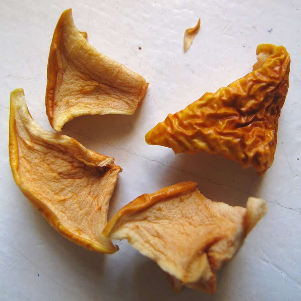 Dehydrated apple pieces cooling before being placed in airtight jars for storage. How to dehydrate apples