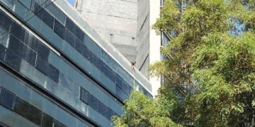Contemporary office building with reflective glass windows and surrounding greenery under a clear blue sky.