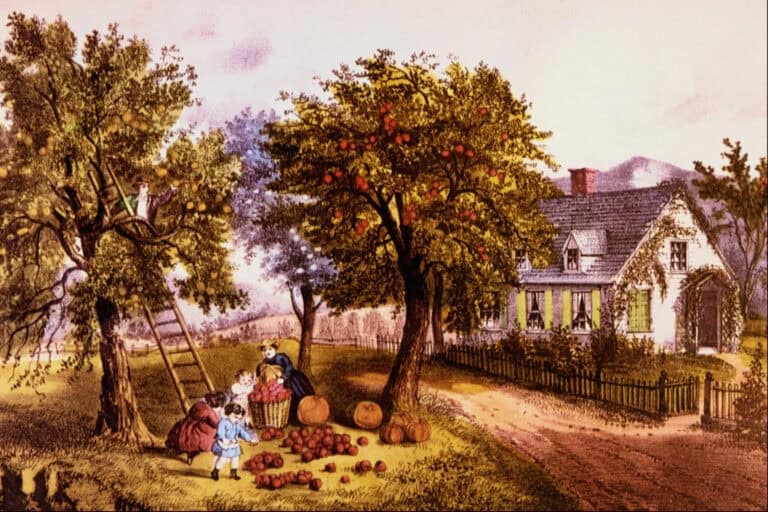 October homestead checklist: tasks to do this month
